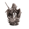 FN2306AC11.png