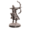 FN2306AC14.png