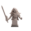 FN2306AC17.png