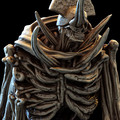 Malformed Construct_3-1 closeup.jpg