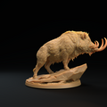 Lesser Boar A 2.png