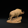 Lesser Boar A 3.png