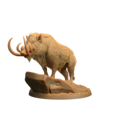 Lesser Boar A 7.png