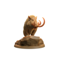 Lesser Boar A 8.png