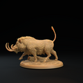 Lesser Boar B 6.png