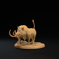 Lesser Boar B 7.png