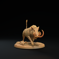 Lesser Boar B 8.png
