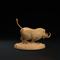 Lesser Boar C 4.png