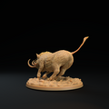 Lesser Boar C 6.png