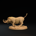 Lesser Boar C 7.png