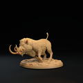Lesser Boar C 8.png