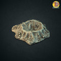 Terrain_10.jpg