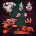 720X720-a.jpg