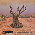 Twisted-Trees_2-600x600.jpg