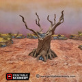 Twisted-Trees_5-600x600.jpg