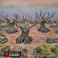 Twisted_trees_Main-600x600.jpg