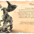 Phoenix.png