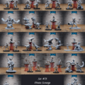 # 78 - Pirate Scourge.png