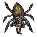 1336 - Neogi Nest (Large).png