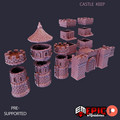 1357 - Castle Kingskeep 5.jpg