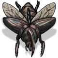 1030 - Giant Beetle Flying (Large).png