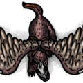 1143 - Sky Dog Flying (Medium).png