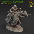 Wildwood Sanctum Regular Mounted 1.jpg