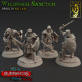 Wildwood Sanctum Regular all.jpg