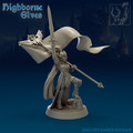 Highborne_Elves_Standard_Bearer.jpg