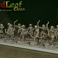 RedLeaf Elves Protectors Bow.jpg