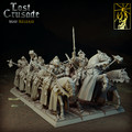 Lost Crusade Templar Cavalry with 2H.jpg